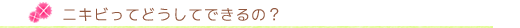 ニキビってどうしてできるの？