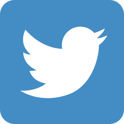 RapidLash Twitter$B8x<0%